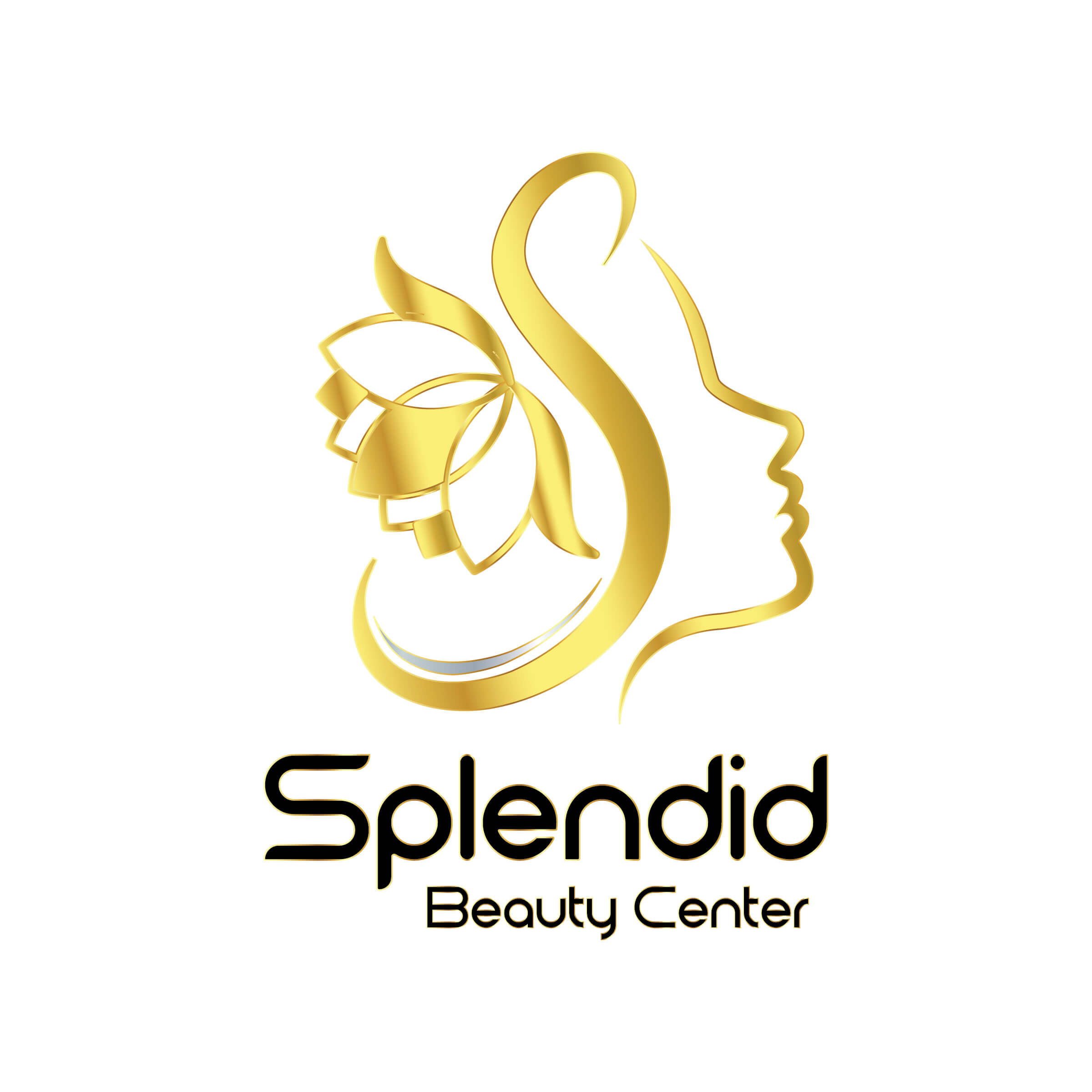 Splendid BC LOGO